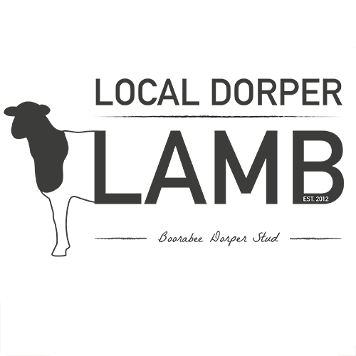 500px 0016 16 Local dorper Lamb