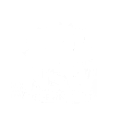 nsw government logo white